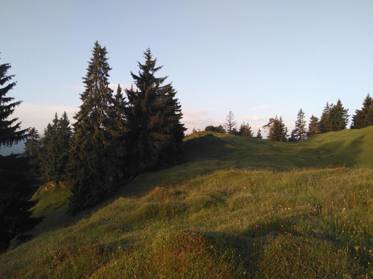 Leitnerhof Villa Niederau Eksteriør billede